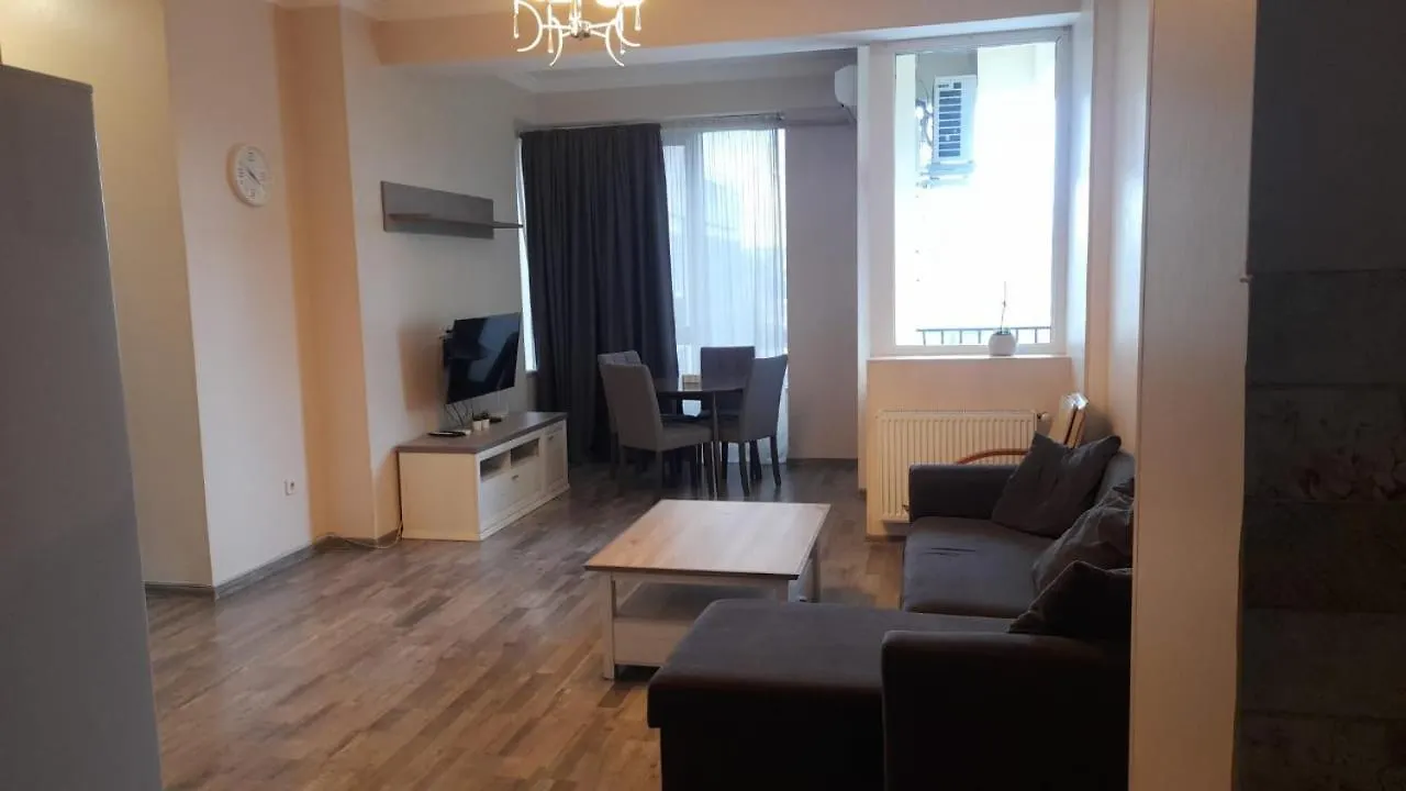 The Comfortable And Beautiful Apt In Tbilisi